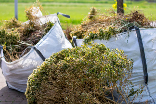 Best Junk Removal Near Me  in Cottage Grove, OR
